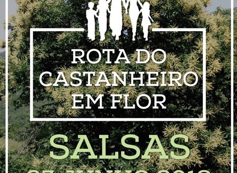 Rota castanheiroemflor  medium  1 480 350