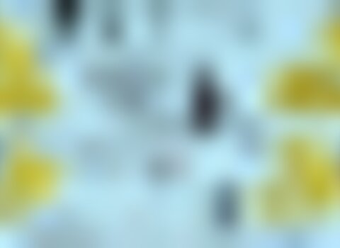 Tiny thumb o teatro vai ao centro  1 710 300 1 480 350