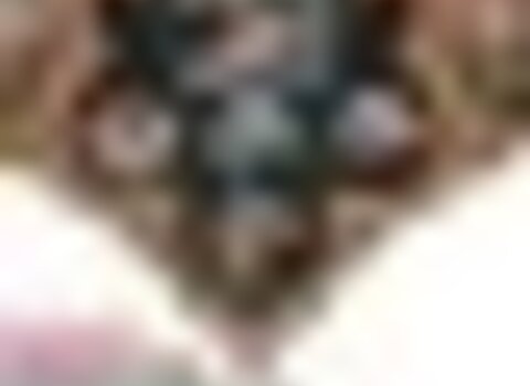 Tiny thumb festival folclore 1 480 350