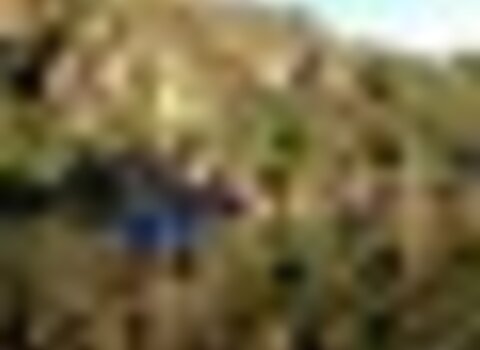 Tiny thumb canoagem nocturna  medium  1 480 350