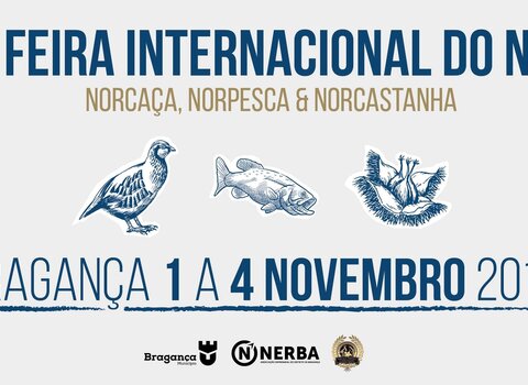 Cartaz norca a1 1 480 350
