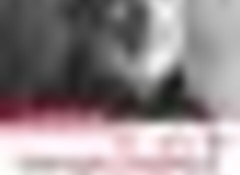 Tiny thumb plast cine 1 480 350