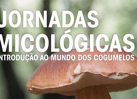 Jornadasmicologicas 1 480 350