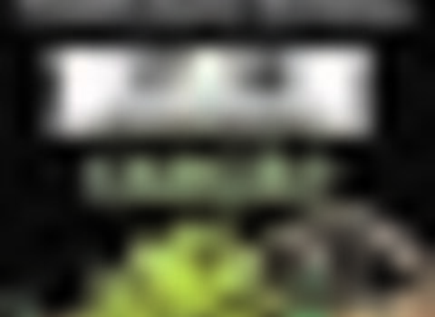 Tiny thumb cachico 1 480 350