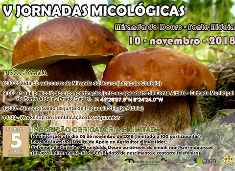 Jornadas micologicas md 1 480 350
