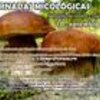 Thumb jornadas micologicas md 1 100 100