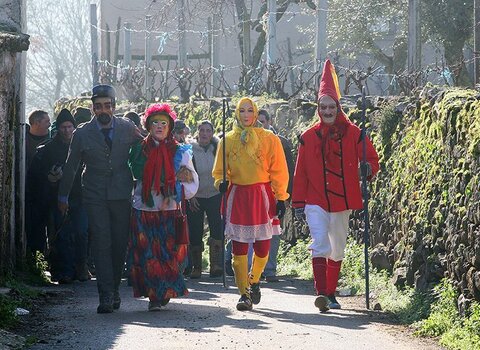 Festa dos velhos de bru   1 480 350
