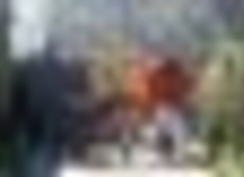 Tiny thumb festa dos velhos de bru   1 480 350