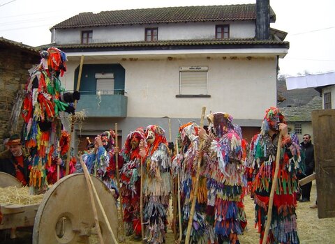 Caretos varge  medium  1 480 350