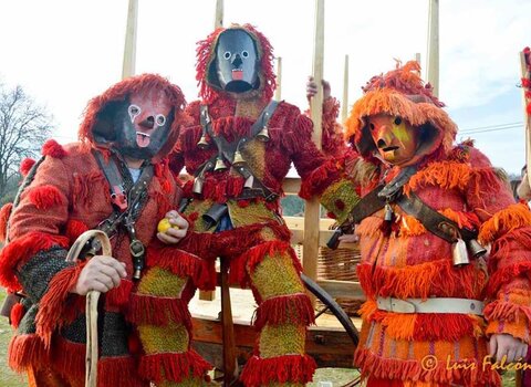 Caretos grij  de parada 1 480 350