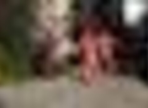 Tiny thumb caretos rebord os 1 480 350