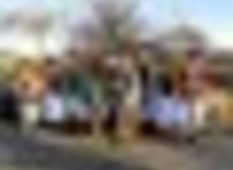 Tiny thumb carocho constantim 1 1 480 350