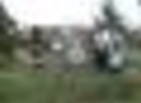 Tiny thumb festa da velha e do menino 1 480 350