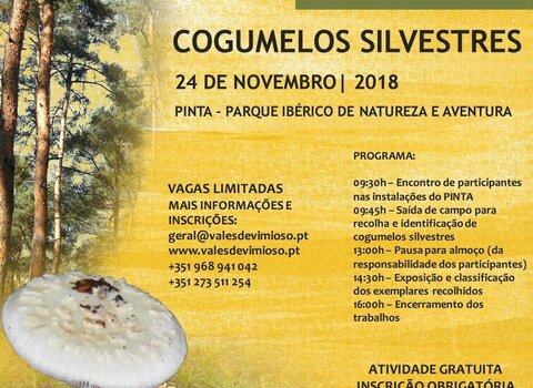 Cogumelos  medium  1 480 350