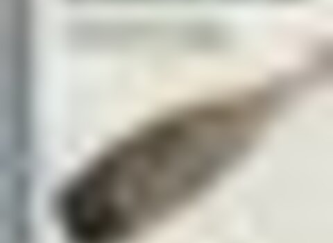 Tiny thumb cartaz cacgm 1 480 350