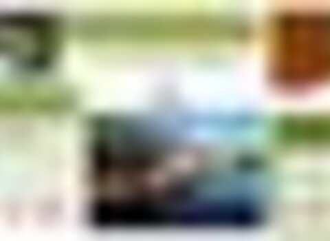 Tiny thumb pprioonor 1 480 350