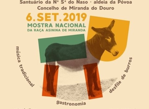 Galeria 699 1 1 480 350