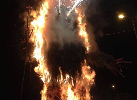 Reis salsas 1 480 350