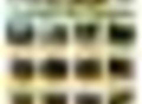 Tiny thumb feiradopao ca arelhos 1 480 350