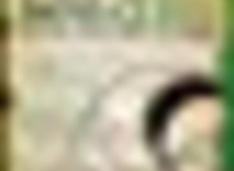 Tiny thumb interceltico 2018 cartaz  medium  1 480 350