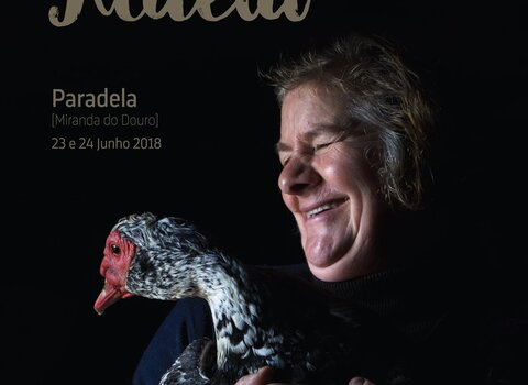 Festanaaldeia 1 480 350