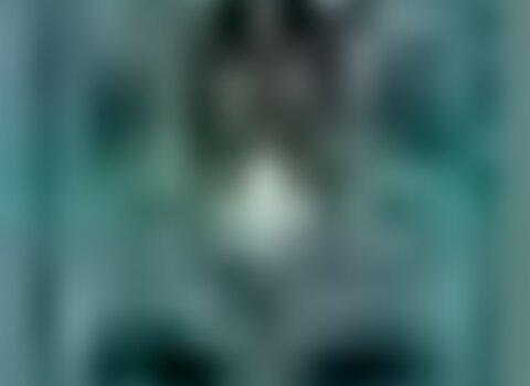 Tiny thumb lburroilgueiteiro cartaz 1 480 350