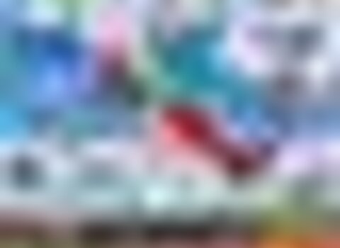 Tiny thumb redburros 2018 1 480 350