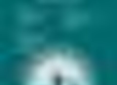 Tiny thumb cartaz festivaldonor 1 480 350