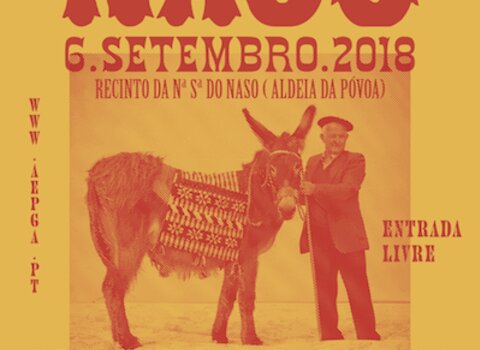 Feira naso 1 480 350