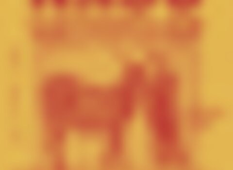 Tiny thumb feira naso 1 480 350