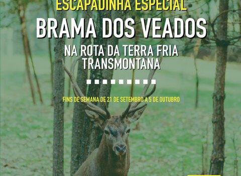 Brama dos veados 2018 poster 1 480 350