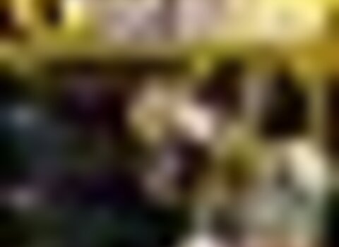 Tiny thumb gorazes 1 480 350