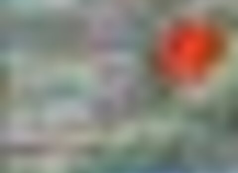 Tiny thumb 117  medium  1 480 350