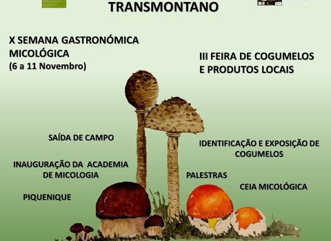 Xxencontro cogumelos 1 480 350