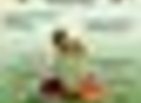 Tiny thumb xxencontro cogumelos 1 480 350