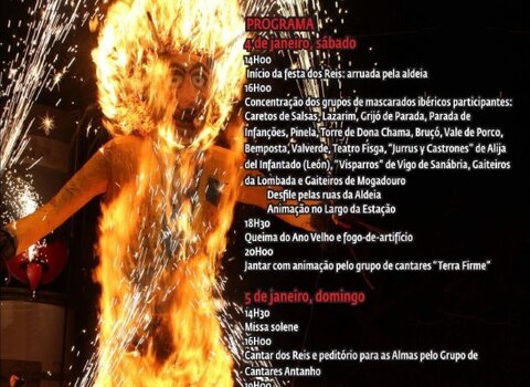 Reis de salsas 2020  medium  1 480 350