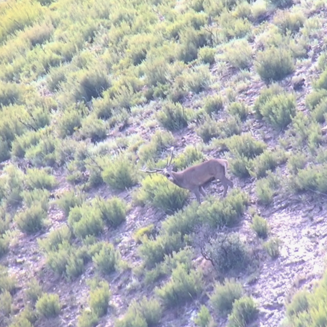 Brama 25 09 15 3 1 640 640