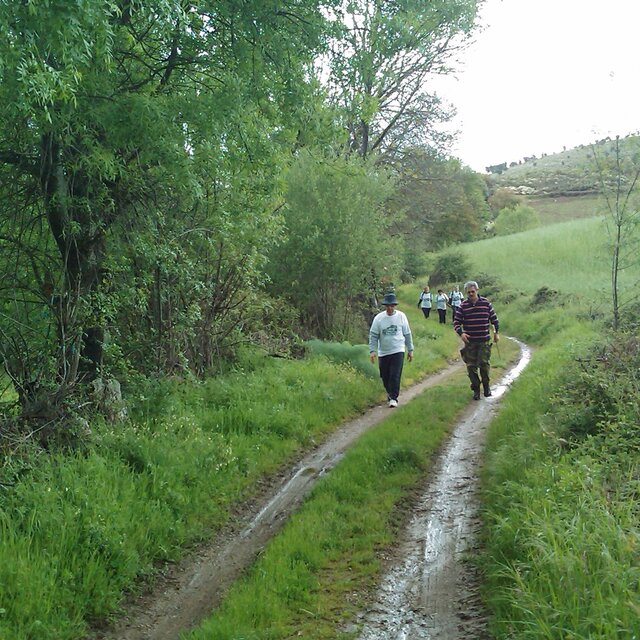 Passeio pedestre 1 640 640