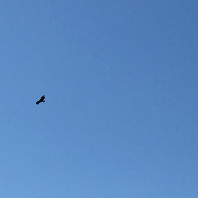 Birdwatching 19 09 15 5 1 640 640