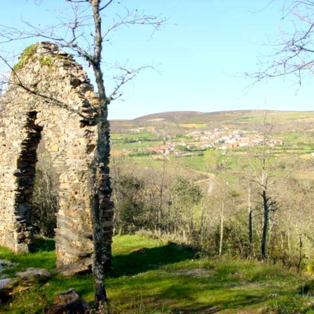 Carragosa moimenta 050 1 640 640