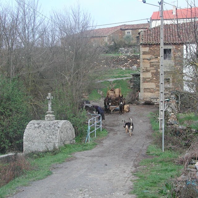 Constantim 1 640 640