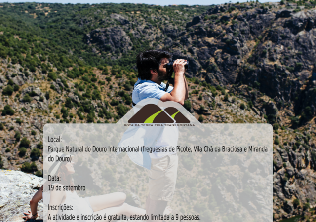 Cartaz bird 1 640 450