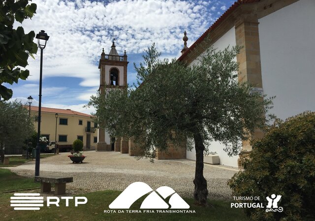 Programa rtp roterrafria 1 640 450