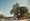 tiny_thumb_CASTANHEIRO_MILENAR_LAGARELHOS-5__Medium_
