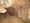 tiny_thumb_1