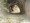 tiny_thumb_T11_Fran_a_01
