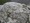 tiny_thumb_1