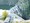 tiny_thumb_T03_13___2___Medium_