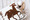 tiny_thumb_artes_os_l__tear-13