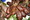 tiny_thumb_100_0027